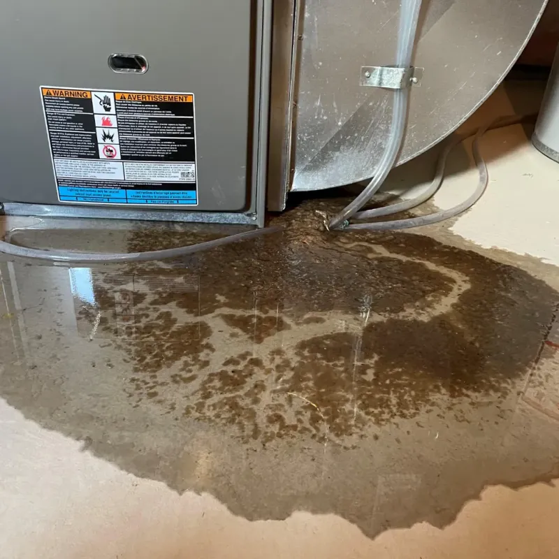 Appliance Leak Cleanup in Lawrenceburg, IN